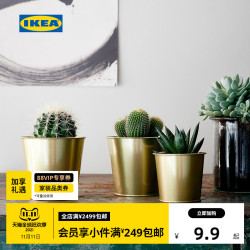 宜家花盆 Ikea 宜家daidai戴戴装饰用花盆北欧创意绿植花盆黄铜色多少钱 什么值得买
