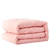 BLISS 百丽丝 暖芙 硅藻土柔绒冬被 200*230cm