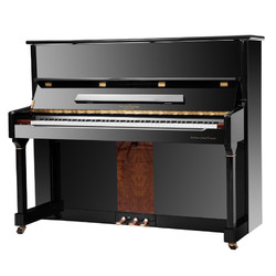 WILLIAMSONBO 威廉森堡 京东定制DW系列立式钢琴 家用教学 120高度 黑色