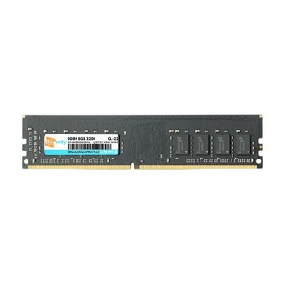 Bigway 毕伟 DDR4 3200MHz 台式机内存 普条 黑色 8GB