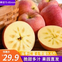 水果蔬菜 新鲜红富士 净重4.5斤