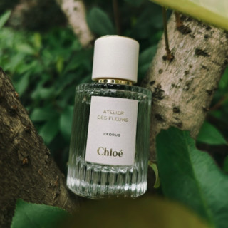 Chloé 蔻依 仙境花园系列 北国雪松女士浓香水 EDP 50ml