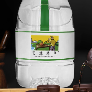 天地精华 泡茶专用淡泉水 4.5L*4桶