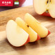 PLUS会员：农夫山泉 苹果 新疆阿克苏苹果 15个装 果径约80-84mm