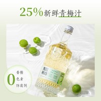 YANXUAN 网易严选 梅香四溢，微甜微咸海盐梅酒 500mL