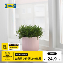 IKEA 宜家 GRADVIS格拉维斯装饰用花盆粉红色落地盆