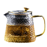 TiaNXI 天喜 TBL171-1000 锤纹泡茶壶 450ml