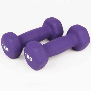龙动力家用女士哑铃运动健身瘦臂塑身郑多燕跳操男士女士训练哑铃 紫色031（1kg*2只）