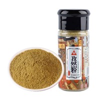 川珍 孜然粉 50g*1瓶