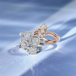 TSL 谢瑞麟 十二围一系列18K戒指双色钻石戒指求婚礼物