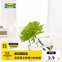 IKEA 宜家 VILJESTARK维利斯塔花瓶透明玻璃创意插花摆件家居装饰品