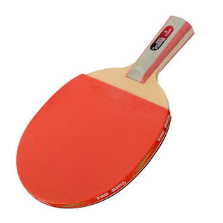 DHS 红双喜 T1006 乒乓球直拍套装