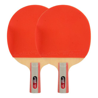DHS 红双喜 T1006 乒乓球直拍套装
