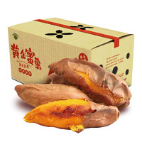 京觅 黄金蜜薯 2.5kg