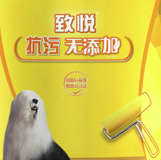 Dulux 多乐士 致悦系列 A745 内墙乳胶漆 白色 18L