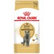 PLUS会员：ROYAL CANIN 皇家 BS34 英国短毛猫成猫粮 10KG