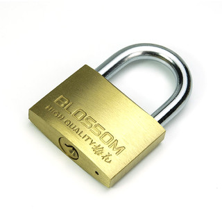 防盗铜挂锁 25mm（两把钥匙）