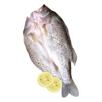 谷源道 三去海鲈鱼 400g