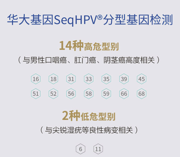 橄榄枝健康 华大基因男性九价hpv检测试纸