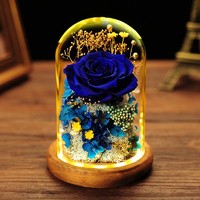 迪龙 自生草 创意礼物玫瑰永生花玻璃罩夜灯礼盒（情比金坚） 适合做生日/节日礼物送女友/爱人