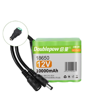 Doublepow 倍量 锂电池 12V 10000mAh 1粒装