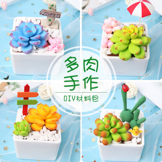 儿童超轻粘土diy仿真多肉盆栽黏土彩泥材料包小学生手工制作活动 报价价格评测怎么样 什么值得买 儿童超轻粘土diy仿真多肉盆栽黏土彩泥材料包小学生手工制作活动 报价价格评测怎么样 什么值得买