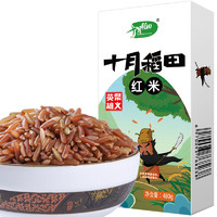 SHI YUE DAO TIAN 十月稻田 红米