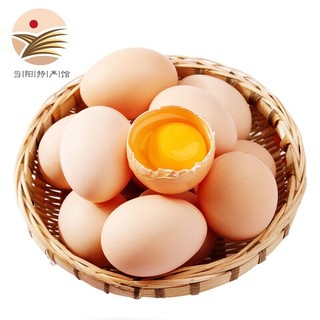 小覃同学 [当阳馆]小覃同学 新鲜农家散养土鸡蛋柴鸡蛋 30枚
