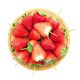 PLUS会员：鑫久盈  丹东99红颜奶油草莓  3斤  大果