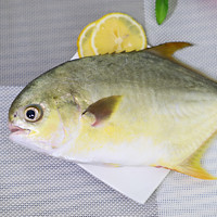 限地区、PLUS会员：XIANBOHUI 鲜博汇 南海冷冻鱼类金昌鱼 500-450g