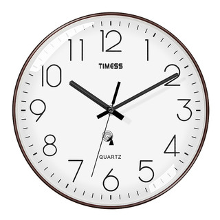 TIMESS P系列 电波钟