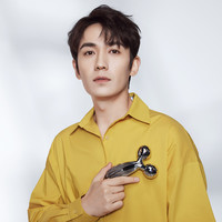 ReFa CARAT RAY铂金微电流**仪