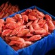 PLUS会员、周三购食惠：渔游记 北极腹籽甜虾 2kg