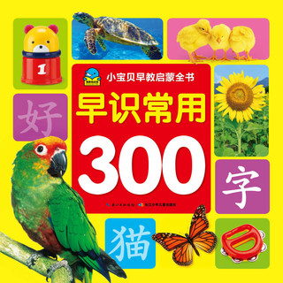 《小宝贝早教启蒙书·早识常用300字》