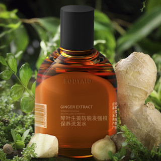 BodyAid 博滴 琴叶生姜防脱发强根保养洗发水 50ml