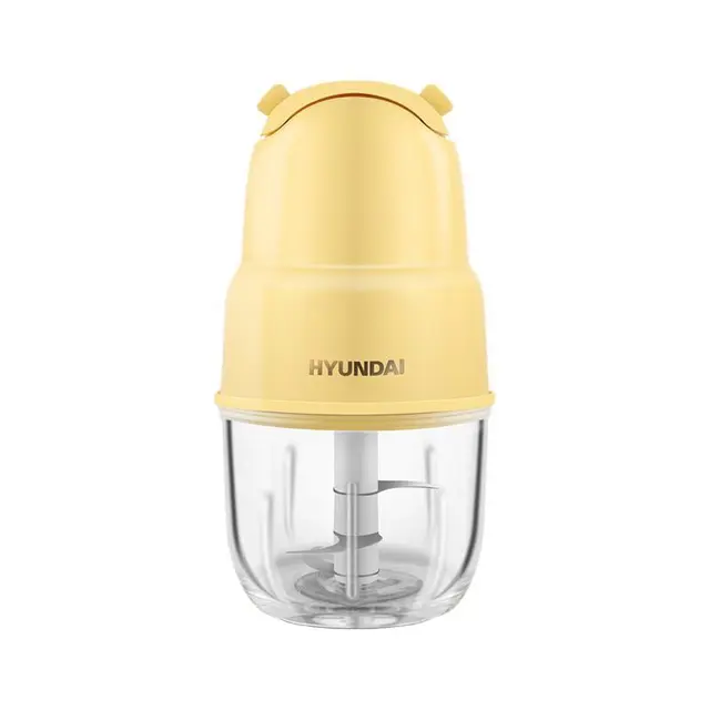 HYUNDAI 现代电器 TJ-707 辅食机