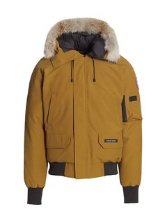 CANADA GOOSE Chilliwack 男士短款羽绒服