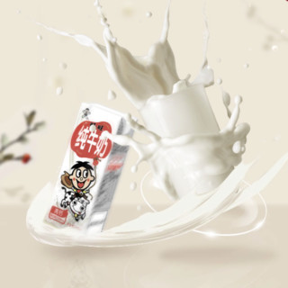 Want Want 旺旺 纯牛奶 190ml*12盒