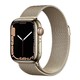 Apple 苹果 《新款》WatchSeries7 智能手表 GPS+蜂窝款不锈钢表壳