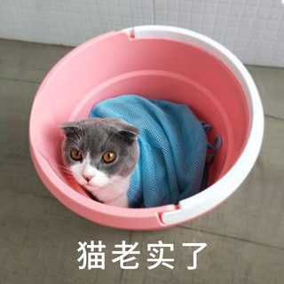 洗猫袋猫咪洗澡神器宠物剪指甲打针防抓咬固定猫包袋猫咪清洁用品（天蓝色（加厚款+洗澡刷+沐浴露+毛巾）、在家轻松洗猫（防咬伤 不用再去宠物店））