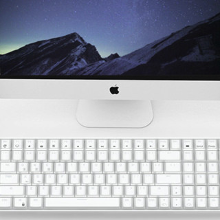 ROYAL KLUDGE RK860 100键 2.4G蓝牙 多模无线机械键盘 白色 TTC月白轴 单光