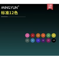 MINGYUN 名韵 A1-001 双头马克笔 基础12色