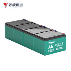 TIANNENG BATTERY 天能电池 48V12AH 电动车电池 6-DZF-12（4只装）