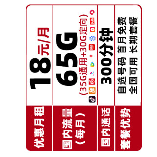 CHINA TELECOM 中国电信 5G长期翼卡 18元/月