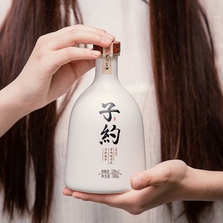 孔府家酒 子约 52%vol 浓香型白酒 500ml 单瓶装