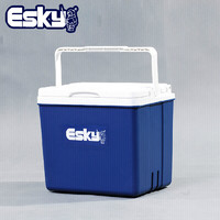 PLUS会员：Esky 爱斯基 户外保温箱 10L 附12冰袋