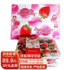 JD空运 大凉山红颜奶油草莓礼盒装 99红颜新鲜水果现摘现发 3斤中大果60-80枚