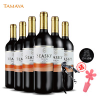 TAMAYA 大玛雅 智利原瓶进口红酒（TAMAYA）大玛雅品牌 西思凯奥罗拉半干红葡萄酒750ml 入门级 6瓶整箱