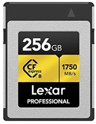 Lexar 雷克沙 Professional CFexpress 256GB Type-B卡 (LCFX10-256CRBNA)