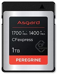 Asgard 阿斯加特 CFexpress B 型 1TB